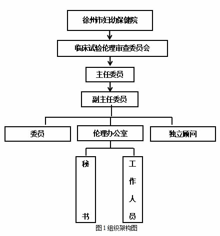 伦理审查委员会组织架构图